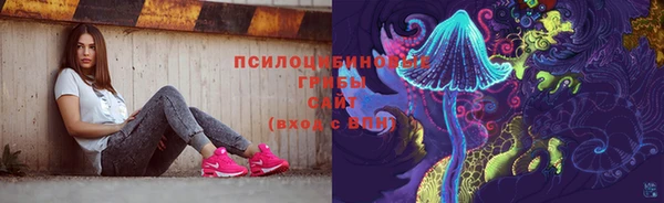 MDMA Premium VHQ Богородицк