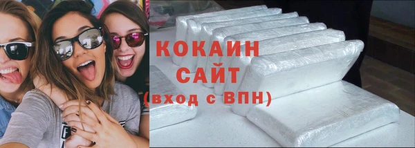 дживик Бородино