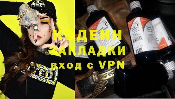 дживик Бородино
