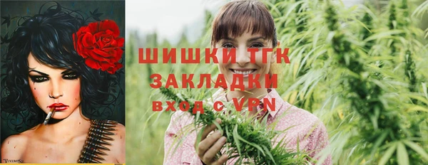 дживик Бородино
