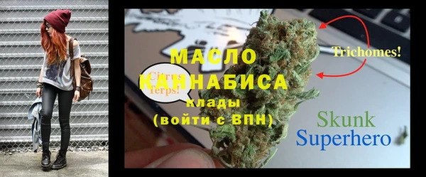 дживик Бородино